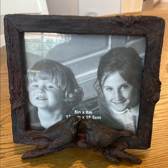 Stanley Other - Rustic Brown Bird Frame